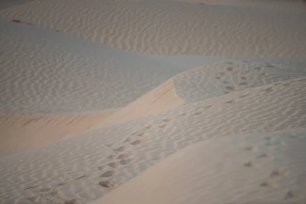 Schöne Sanddünen Der Sahara Bei Douz Tunesien — Stockfoto