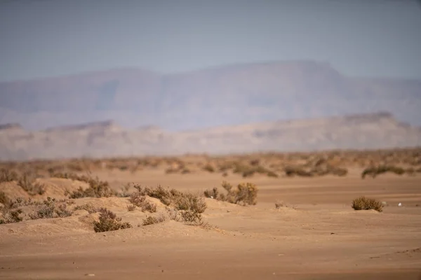 Une Partie Désert Lac Salé Tunisie Chott Jerid — Photo