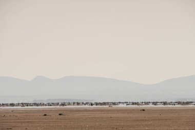 Tunus 'taki tuz gölü çölünün bir parçası, chott el jerid