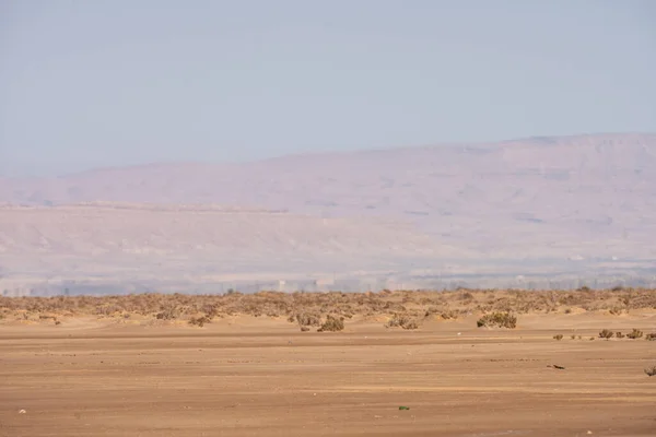 图尼西亚盐湖沙漠的一部分 山核桃 — 图库照片