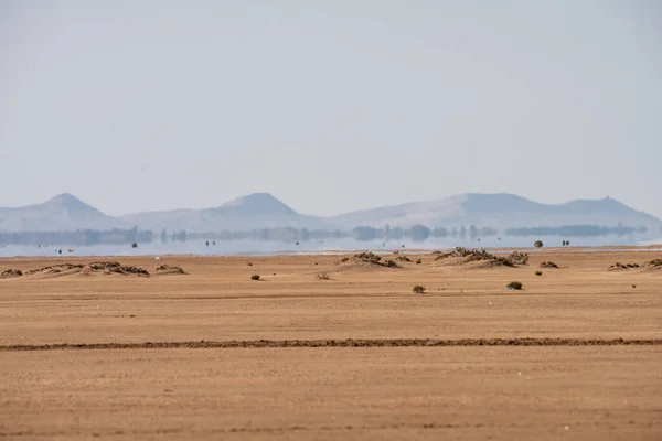 Une Partie Désert Lac Salé Tunisie Chott Jerid — Photo