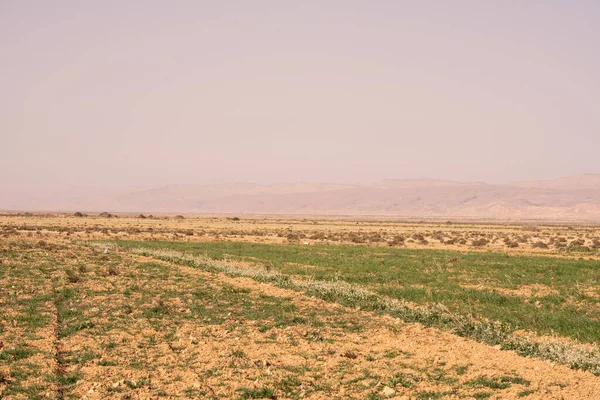 Частина Пустелі Солоного Озера Тунісі — стокове фото