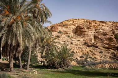 Tunus, Ghomrassen ve Germasa 'daki Dahar' a hoş geldiniz.