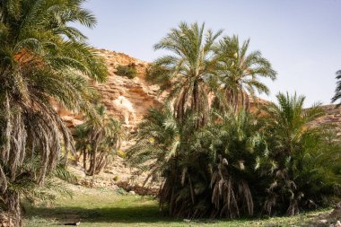 Tunus, Ghomrassen ve Germasa 'daki Dahar' a hoş geldiniz.