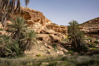 Tunus, Ghomrassen ve Germasa 'daki Dahar' a hoş geldiniz.