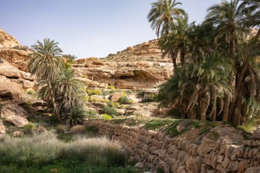 Tunus, Ghomrassen ve Germasa 'daki Dahar' a hoş geldiniz.