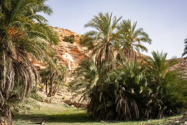 Tunus, Ghomrassen ve Germasa 'daki Dahar' a hoş geldiniz.