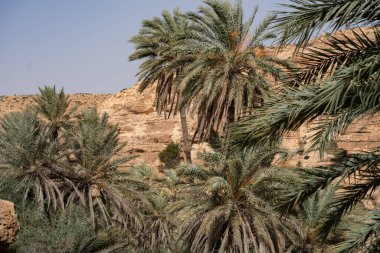 Tunus, Ghomrassen ve Germasa 'daki Dahar' a hoş geldiniz.