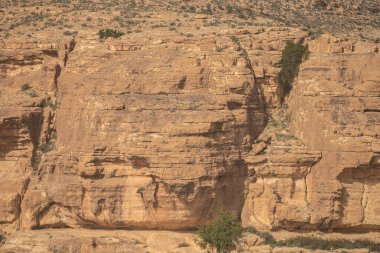 Tunus, Ghomrassen ve Germasa 'daki Dahar' a hoş geldiniz.