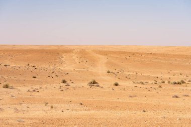 Tunus 'a hoş geldiniz: Ksar ghilane ve Sahra Çölü 