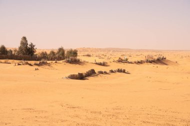 Tunus 'a hoş geldiniz: Ksar ghilane ve Sahra Çölü 