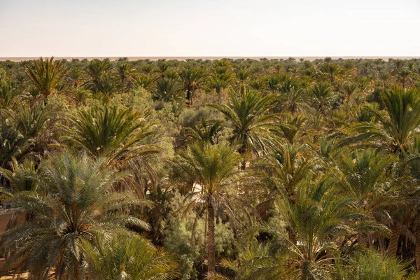 Bienvenue Tunisie Ksar Ghilane Désert Sahara — Photo