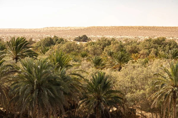 Bienvenue Tunisie Ksar Ghilane Désert Sahara — Photo