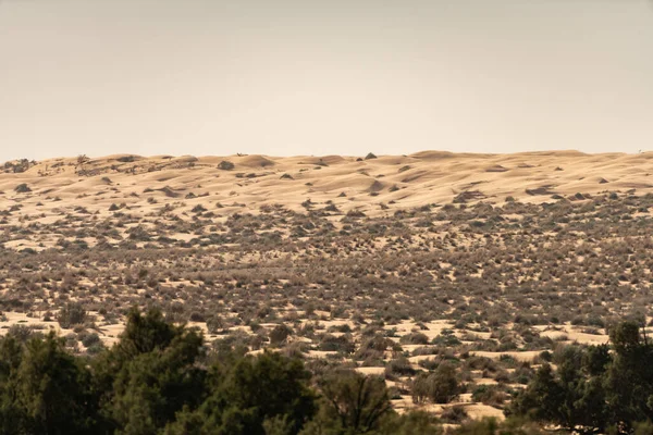 Bienvenido Tunisia Ksar Ghilane Desierto Del Sahara —  Fotos de Stock