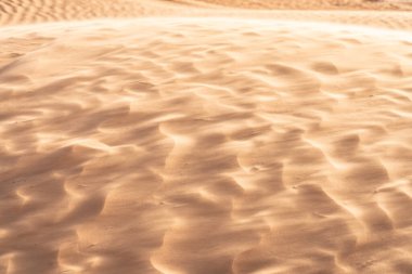 Tunus 'a hoş geldiniz: Ksar ghilane ve Sahra Çölü 