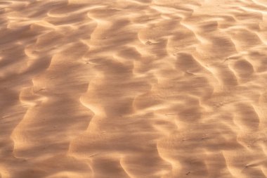 Tunus 'a hoş geldiniz: Ksar ghilane ve Sahra Çölü 