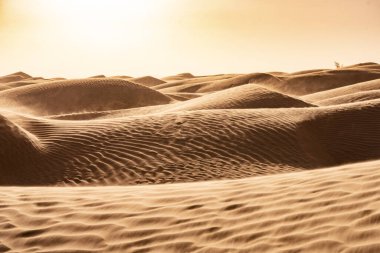 Tunus 'a hoş geldiniz: Ksar ghilane ve Sahra Çölü 