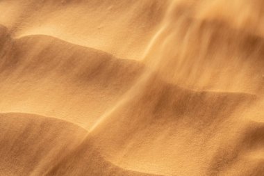 Tunus 'a hoş geldiniz: Ksar ghilane ve Sahra Çölü 