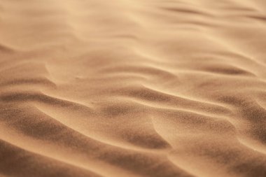 Tunus 'a hoş geldiniz: Ksar ghilane ve Sahra Çölü 