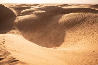 Tunus 'a hoş geldiniz: Ksar ghilane ve Sahra Çölü 