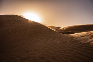 Tunus 'a hoş geldiniz: Ksar ghilane ve Sahra Çölü 