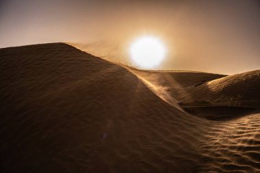 Tunus 'a hoş geldiniz: Ksar ghilane ve Sahra Çölü 