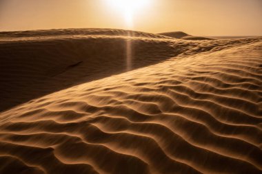 Tunus 'a hoş geldiniz: Ksar ghilane ve Sahra Çölü 