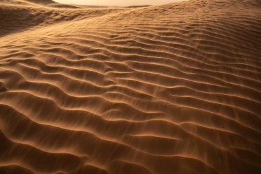 welcome to tunisia : ksar ghilane and the Sahara desert  clipart