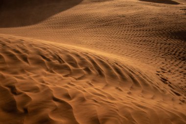 Tunus 'a hoş geldiniz: Ksar ghilane ve Sahra Çölü 