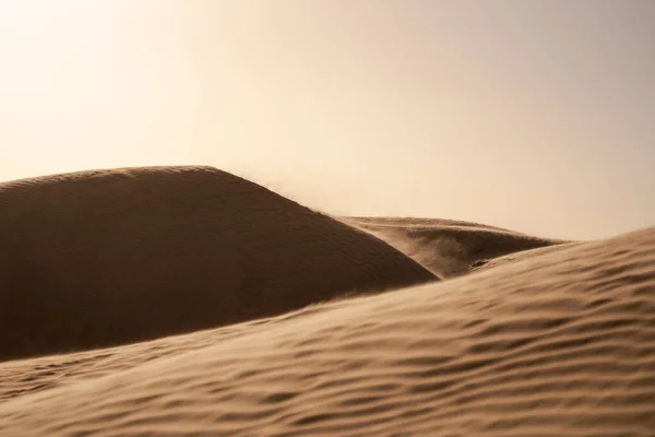 Καλώς Ήρθατε Στην Τυνησία Ksar Ghilane Και Την Έρημο Σαχάρα — Φωτογραφία Αρχείου