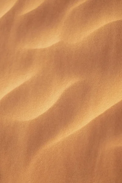 Tunus 'a hoş geldiniz: Ksar ghilane ve Sahra Çölü 