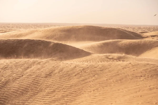 Bem Vindo Tunisia Ksar Ghilane Deserto Saara — Fotografia de Stock