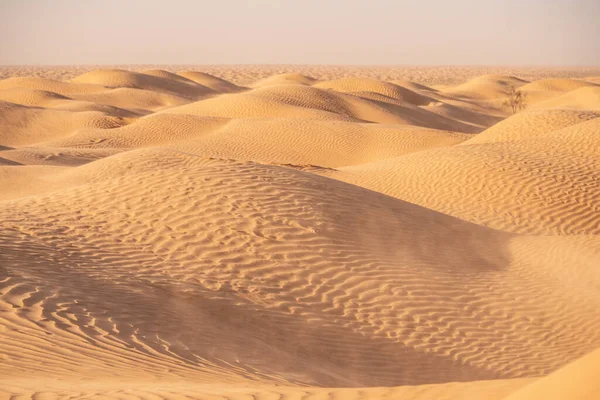 Witamy Tunezji Ksar Ghilane Sahara Pustyni — Zdjęcie stockowe