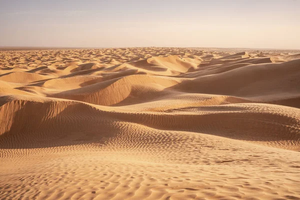 Vítejte Tunisii Ksar Ghilane Saharské Poušti — Stock fotografie