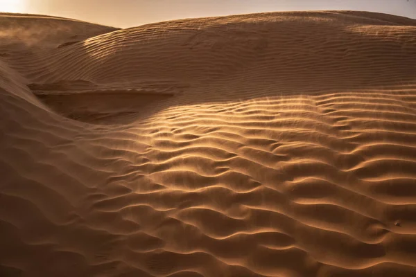 Tunus 'a hoş geldiniz: Ksar ghilane ve Sahra Çölü 