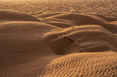 Tunus 'a hoş geldiniz: Ksar ghilane ve Sahra Çölü 