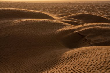 Tunus 'a hoş geldiniz: Ksar ghilane ve Sahra Çölü 