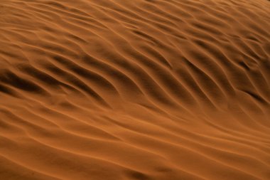 Tunus 'a hoş geldiniz: Ksar ghilane ve Sahra Çölü 