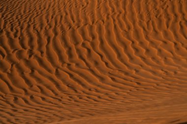 Tunus 'a hoş geldiniz: Ksar ghilane ve Sahra Çölü 