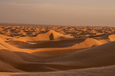 Tunus 'a hoş geldiniz: Ksar ghilane ve Sahra Çölü 
