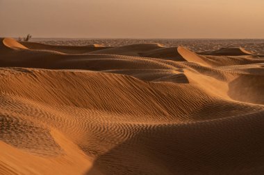 Tunus 'a hoş geldiniz: Ksar ghilane ve Sahra Çölü 