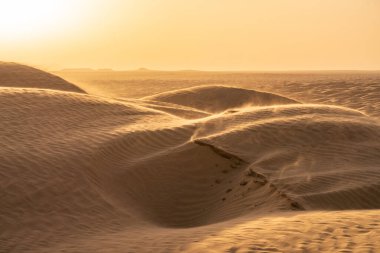 Tunus 'a hoş geldiniz: Ksar ghilane ve Sahra Çölü 