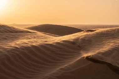 Tunus 'a hoş geldiniz: Ksar ghilane ve Sahra Çölü 