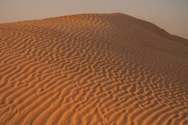 Tunus 'a hoş geldiniz: Ksar ghilane ve Sahra Çölü 