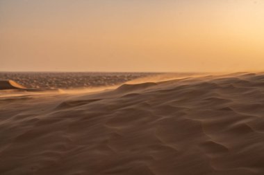 Tunus 'a hoş geldiniz: Ksar ghilane ve Sahra Çölü 