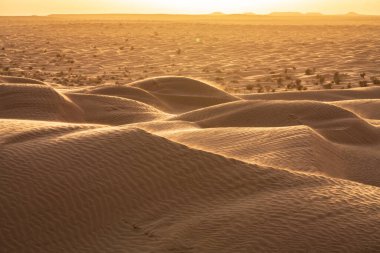 Tunus 'a hoş geldiniz: Ksar ghilane ve Sahra Çölü 
