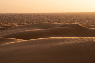 Tunus 'a hoş geldiniz: Ksar ghilane ve Sahra Çölü 