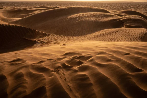 Tunus 'a hoş geldiniz: Ksar ghilane ve Sahra Çölü 