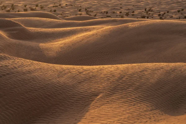 Tunus 'a hoş geldiniz: Ksar ghilane ve Sahra Çölü 