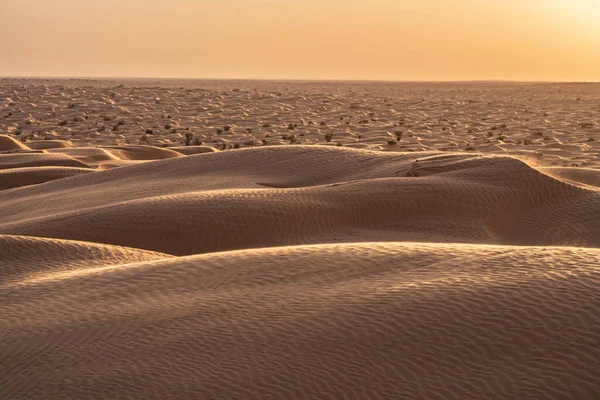 Tunus 'a hoş geldiniz: Ksar ghilane ve Sahra Çölü 